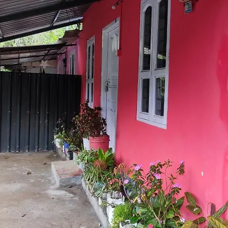 Royal Villa Homestay